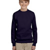 Youth ComfortBlend® EcoSmart® Fleece Crew